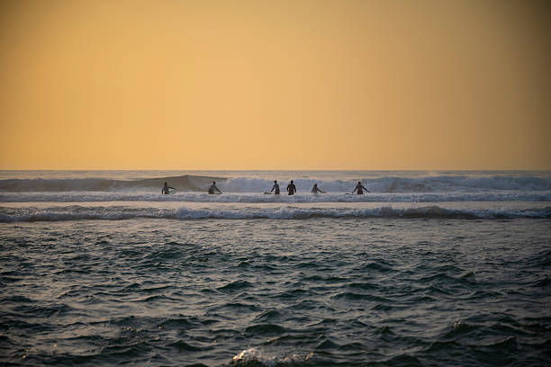 istock Surfing at Dusk by the Sea 2239721933