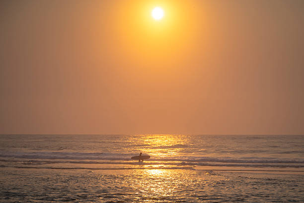 istock Surfer Walking at Golden Sunset 2239722285