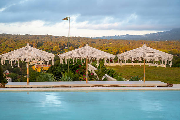 Beach chairs near swimming pool in tropical resort