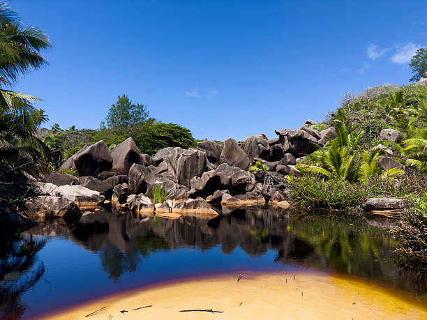 natural pond with granite rocks and tropical vegetation on seychelles island on sunny day with blue sky