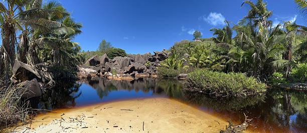 natural pond with granite rocks and tropical vegetation on seychelles island on sunny day with blue sky