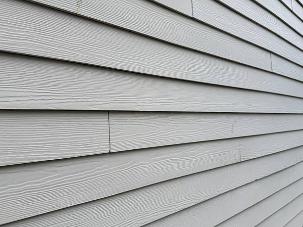 istock Vinyl Siding Home Protection and Waterproofing 2239748908