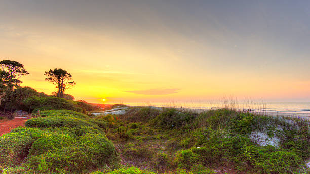 istock Beach Sunrise- Hilton Head, South Carolina 2239749988