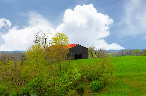 old farm barn for corn crops