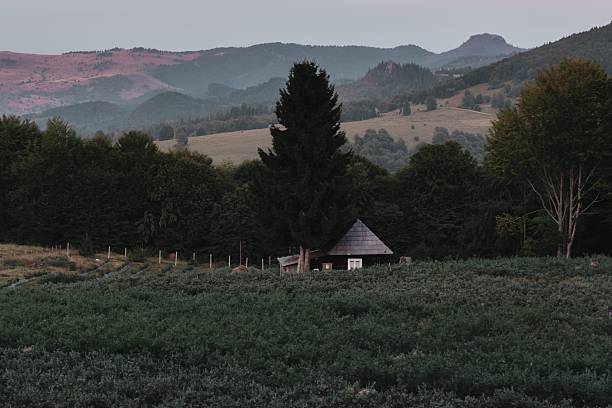 Rustic cabin nestled in lush greenery with rolling hills and mountains in the background, creating a serene landscape.