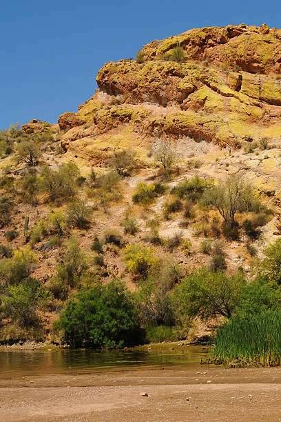 istock Spring at Saguaro lake in Arizona 2239750850