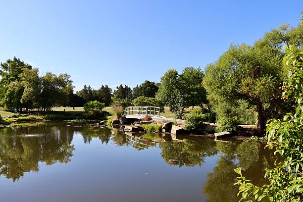 istock Beautiful Pond in the Park 2239753394