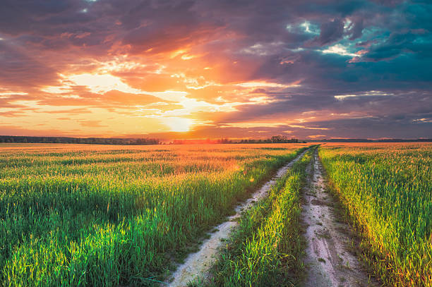istock Sunset Over Rural Road In Green Field 2239756677