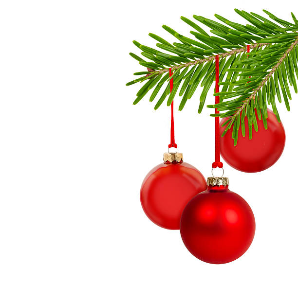 istock Red Christmas Baubles Hanging on Fir Branch 2239761847