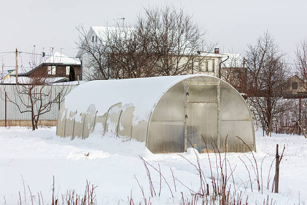 istock A greenhouse is covered in snow 2239767940