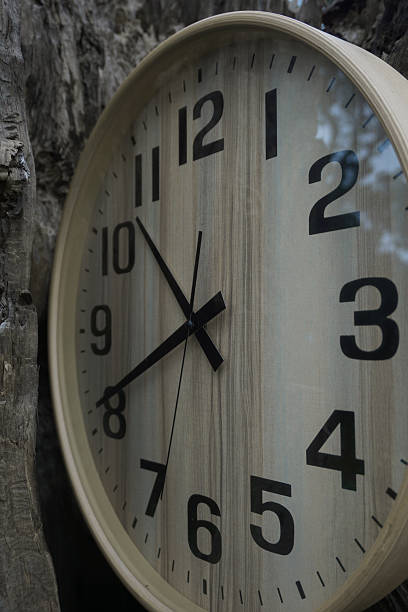 istock A close-up, slightly high-angle shot of a modern wall clock featuring a light, weathered wood-grain face and prominent black numbers, positioned outdoors or leaning against the rough, gray, textured bark of an old tree stump or log 2239768384