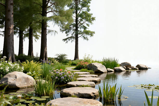 Spring nature background with city wetland park