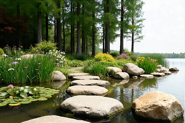 Beautiful view of park with pond, stone pathway and green plants