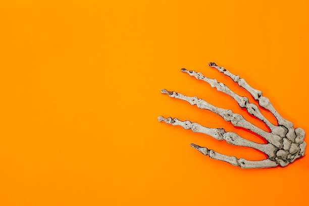 istock Unique skeletal hand displayed on bright orange background for artistic purposes 2239769208