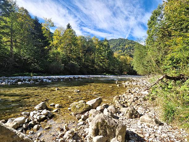 istock harmony in nature - Bavaria 2239769693