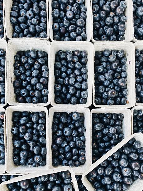 Fresh blueberries in cardboard containers.