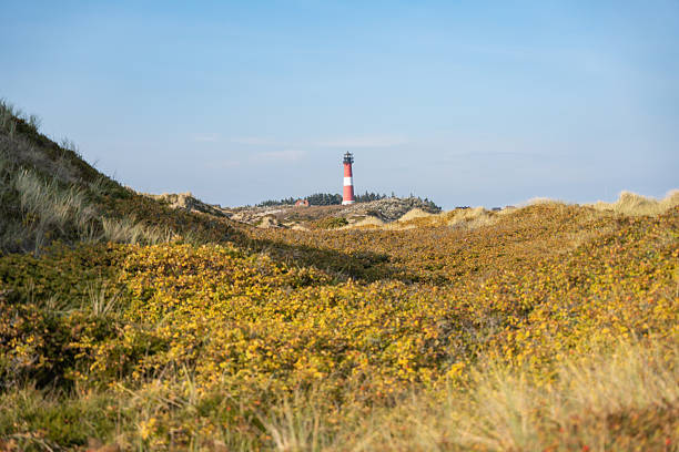 The lighthouse List East on Sylt. It was constructed in 1857 and is located on the peninsula Ellenbogen near the city of List. From the lighthouse the Danish coast can be seen. Sylt is the largest North Frisian island and is a popular destination for fine food and water sports. Located off Schleswig-Holstein's North Sea coast.