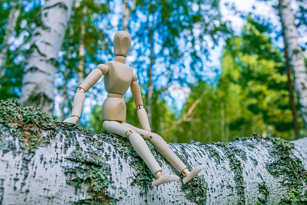istock A wooden figure is sitting on a tree branch in a forest 2239795645