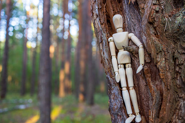 A wooden figure is sitting on a tree branch. The scene is peaceful and serene, with the figure blending in with the natural surroundings