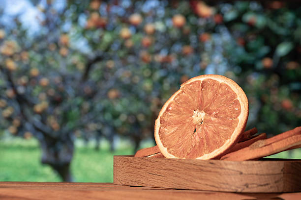 Dried Orange Slices on a Wooden Plate, in Front of an Orange Garden
