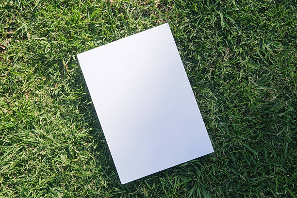 istock Mockup blank poster on green grass background 2239799725
