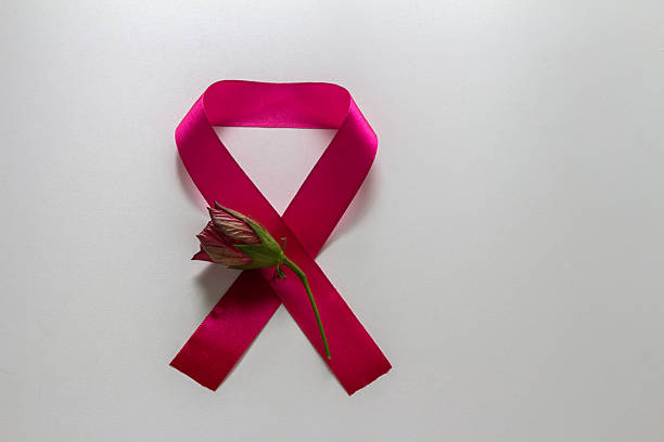 Emblem for World AIDS Day, syringe, red rose bud. On a white background.