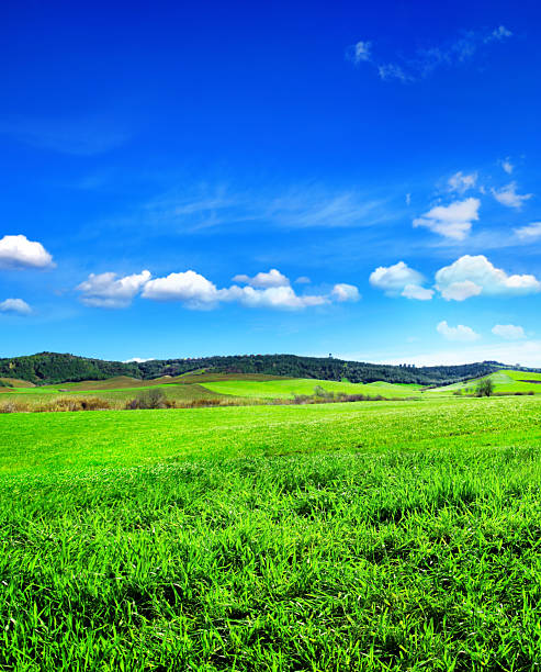 istock Green empty landscape, agricultural field over sunny blue sky 2239807951