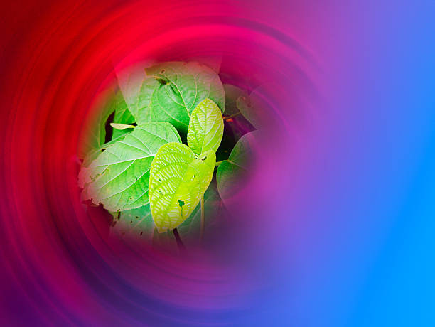 abstract colorful background with  green leaves