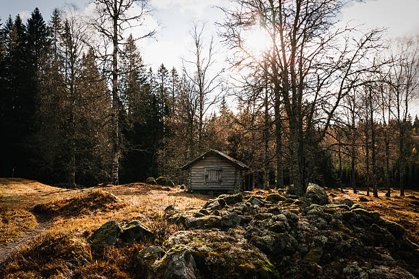 istock Sunlit Rustic Forest Cabin Amid Mossy Rocks and Autumn Grass 2239810755