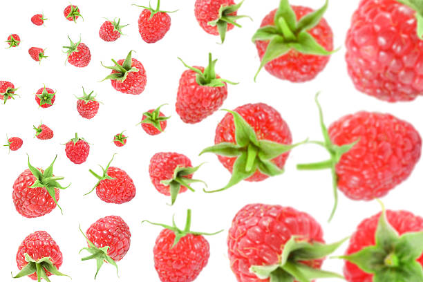 istock Fresh raspberries swirling in air against white background 2239818202