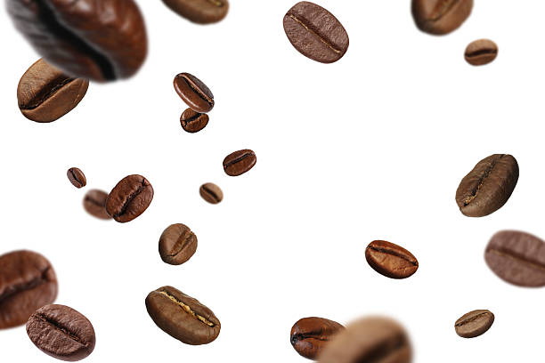 istock Roasted coffee beans flying against white background 2239819575