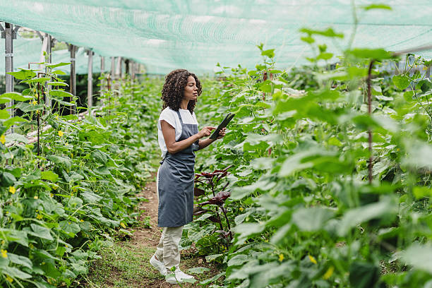 istock Young female gardener with digital tablet 2239820427