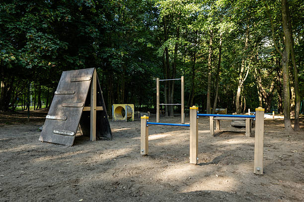 istock Dog training area with agility equipment in a natural outdoor setting 2239821142