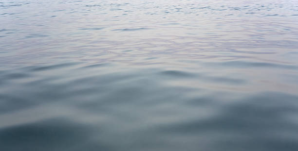istock Calm sea water surface after sunset, only small waves - abstract marine background 2239822787