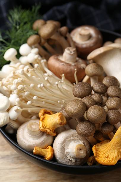 istock Different raw mushrooms in bowl on wooden table, closeup 2239824835