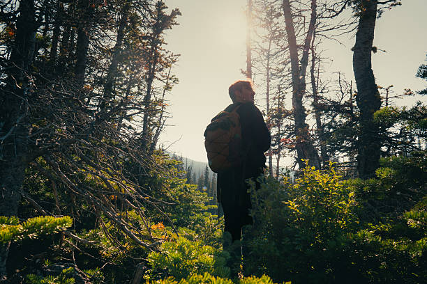 Hiking friends take photos in mountains above forest and valley