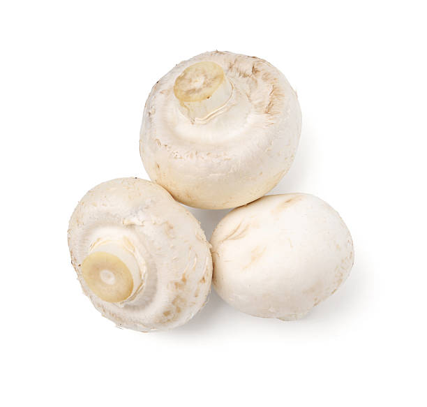 istock Fresh raw champignon mushrooms isolated on white, top view 2239825050