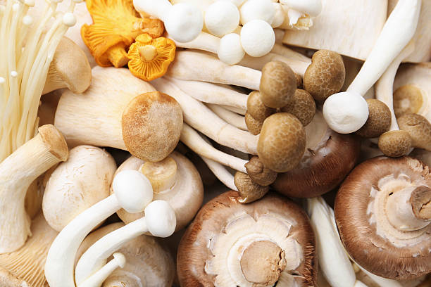 istock Different raw mushrooms as background, top view 2239825261