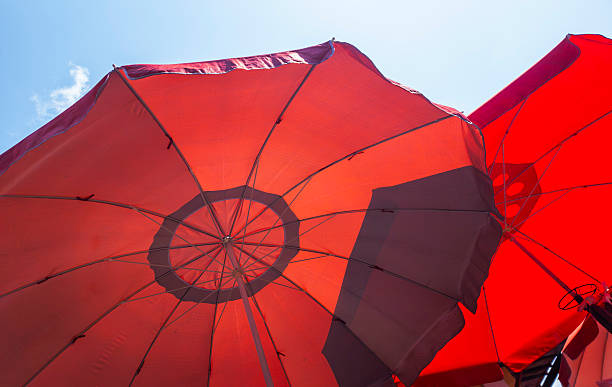 istock Red umbrellas providing vibrant shade against a clear blue sky, experiencing bright sunlight filtering through the fabric on a hot summer day 2239825589