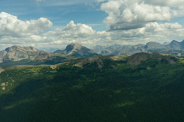 istock Forest leading to the mountains, sky above 2239825687