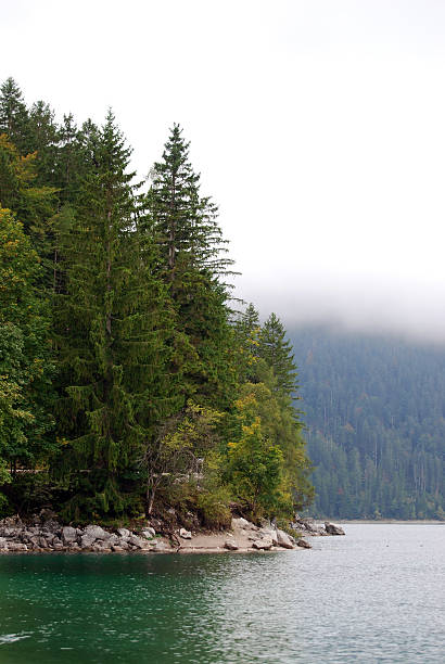 istock Evergreen Trees on Peninsula of Lake Eibsee 2239826418