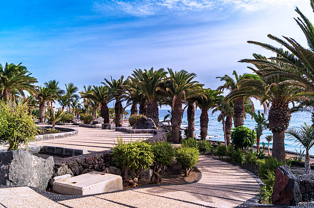 istock Seaside Pathway Among Palms Lanzarote 2239827194