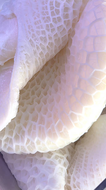 istock Raw beef honeycomb tripe textured background 2239828795