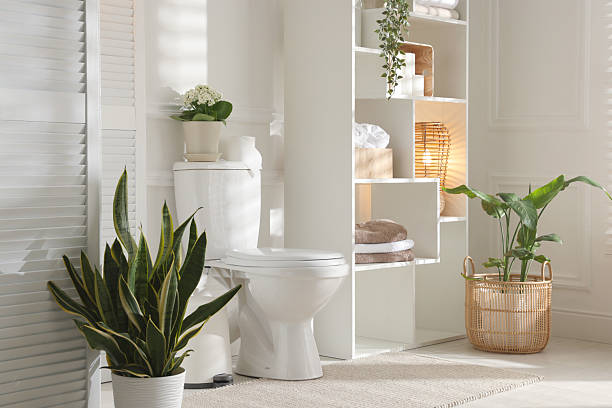 istock Folding screen, toilet bowl and houseplants in restroom 2239830751