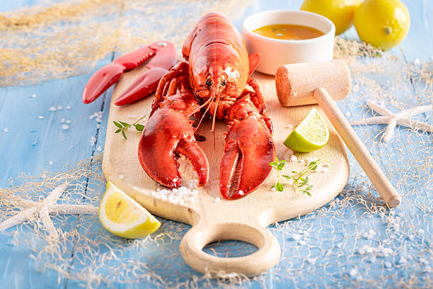 istock Cooked lobster as mediterranean summer meal in restaurant. 2239835774