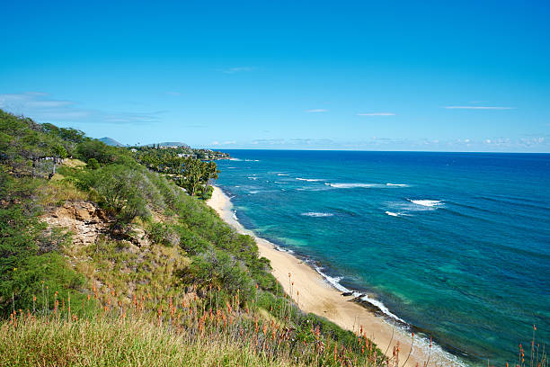 A beautiful coastal view showcasing a tropical beach on the island of Oahu, Hawaii. The vibrant greenery along the cliffside blends into the azure sea, creating a serene holiday paradise.