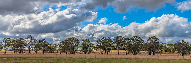 istock Clouds and a Winter sky over rural land 2239844459
