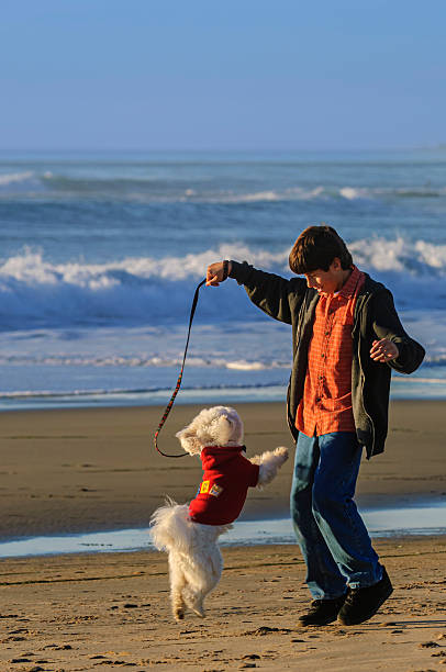 istock Latino Boy and His Dog Having Fun on the Beach 2239849534