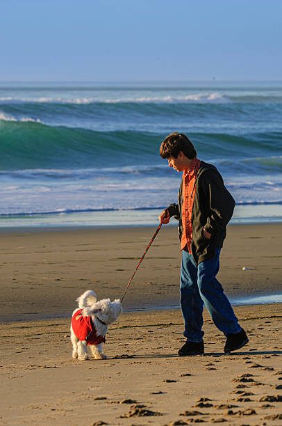 Young Latino boy and his cute white dog interacting together on a remote section of a coastal beach