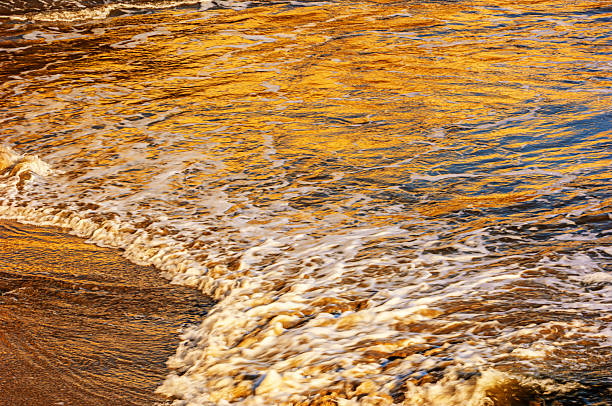 Close-up rolling ocean waves moving over a sunset drenched sandy beach.Taken in Santa Cruz, California, USA